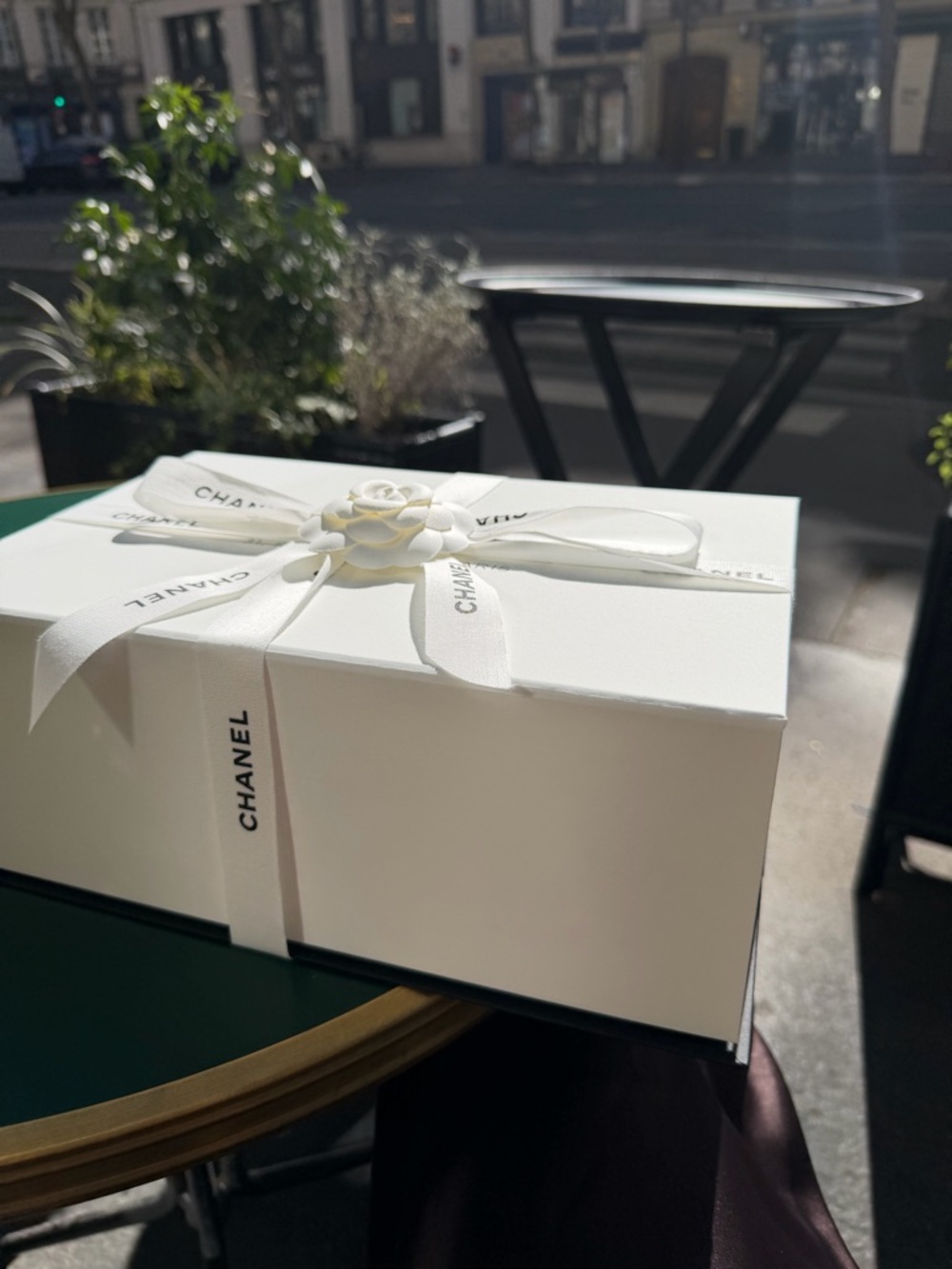 CHANEL White Box with Ribbon and Camellia
